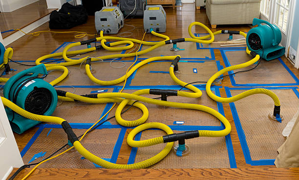 Professional Basement Flood Cleanup technician working in Riverview, MO